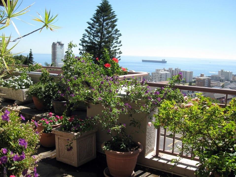 123 Ocean View Drive Apartment Кейптаун Екстериор снимка