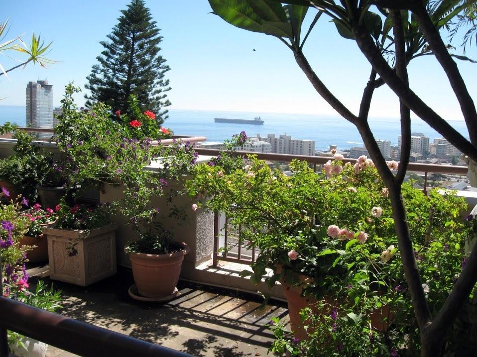 123 Ocean View Drive Apartment Кейптаун Екстериор снимка